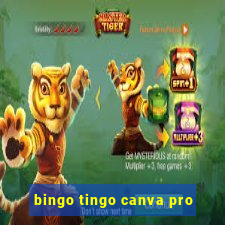 bingo tingo canva pro